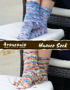 Araucania Huasco Sock Hand Paint